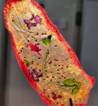 Chips maison recette gourmande pour occasions spéciales